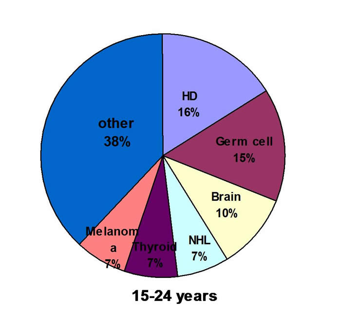 Bone Tumor Diagram